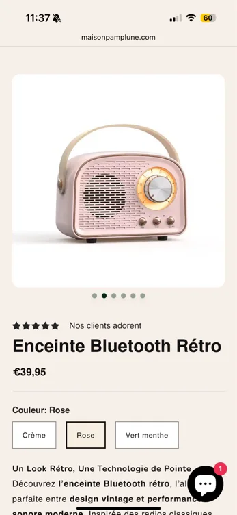 Enceinte 