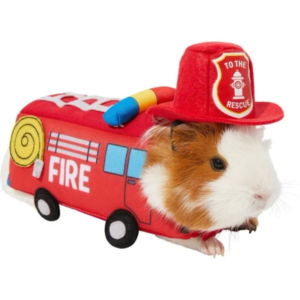 Frisco Firetruck Guinea Pig Costume
