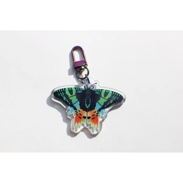 Sunset Moth Acrylic Keychain | bug entomology insect lover keychain