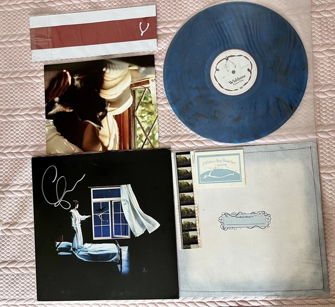 SIGNED SLEEVE/COVER Conan Gray - Wishbone Alt Artwork Blue Galaxy Vinyl