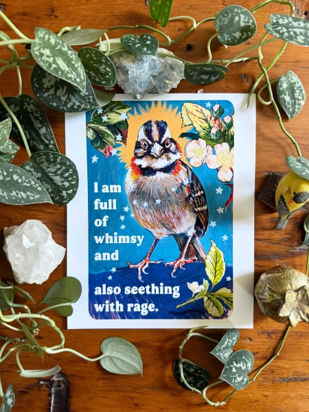 I am full of whimsy and also seething with rage | 