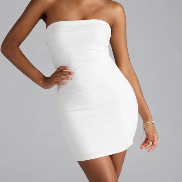 Windsor Chic Look Strapless Bodycon Mini Dress