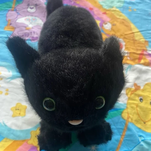 Jellycat Spookipaw Cat