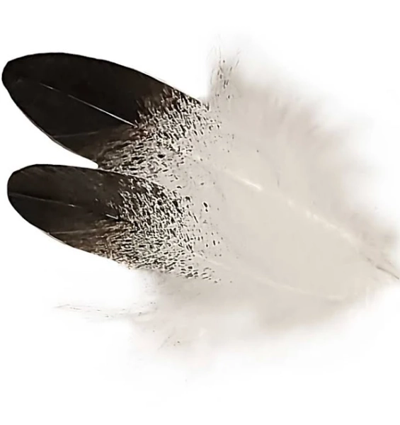 Imitation Eagle Body Feathers