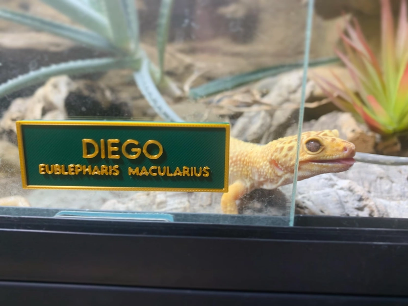 Magnetic Vivarium Name Sign