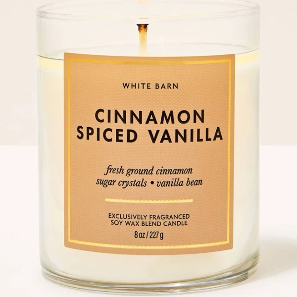 Bath & Body Works Cinnamon Spiced Vanilla Single Wick Candle