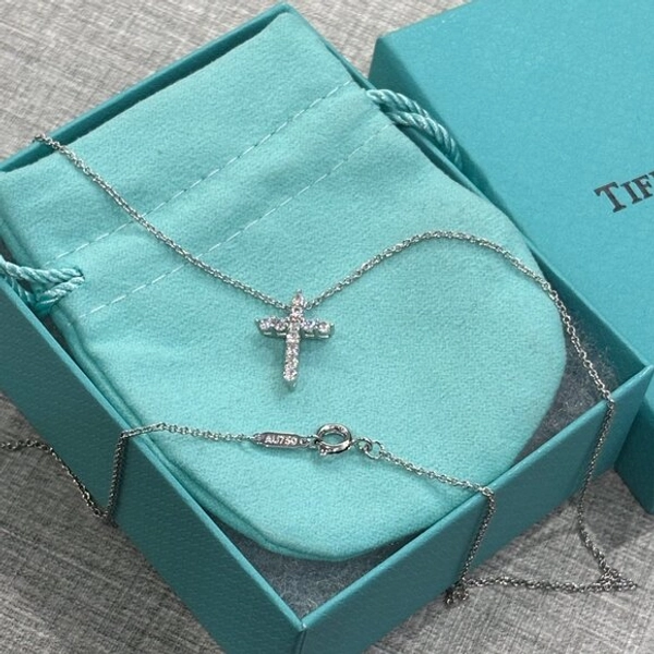 Tiffany &amp; Co Pendant in platinum with diamonds.