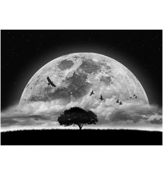Displate Metal Poster "Full Moon" by World Class Photos Fantasy Photography
