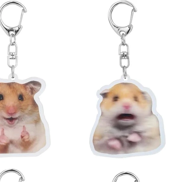 Cute Hamster Meme Keychain Set (6 Pcs)