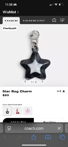 Star bag charm 
