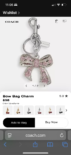 Bow bag charm