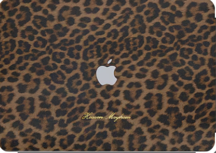 LAPTOP CASE