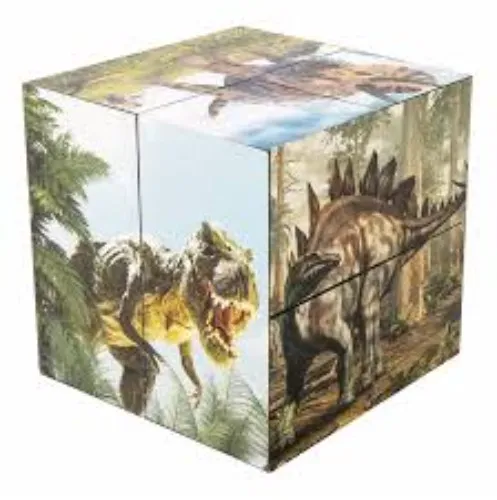 Dinosaur Infinity Cube – SenseAbilities