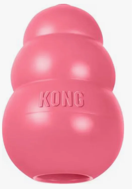 KONG Puppy Chew Dog Toy