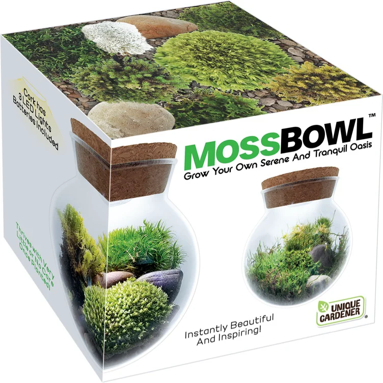 Moss Bowl – Grow Your Own Oasis – Ruckus & Glee