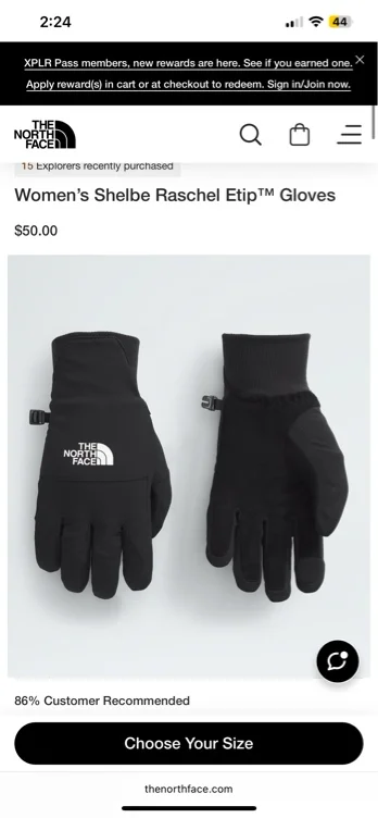 Women’s Shelbe Raschel Etip™ Gloves | The North Face