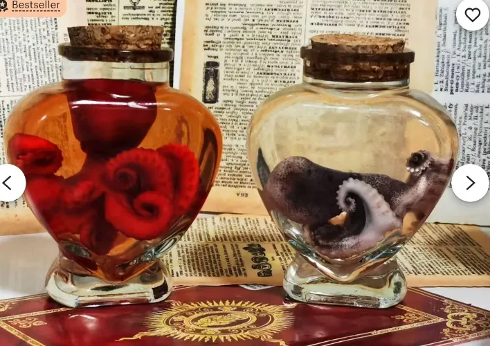 Mini Preserved Octopus in Heart Jar – Red or Natural, Ethical Wet Specimen