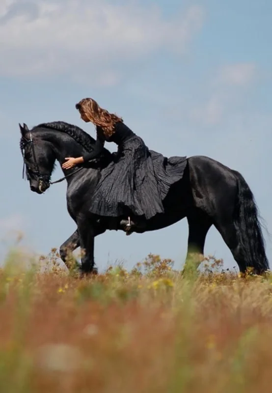 Take Horse Lessons