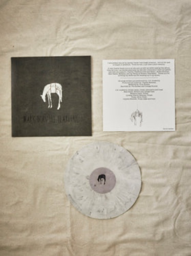 Vinyl and Merch — The Bones of J.R. Jones